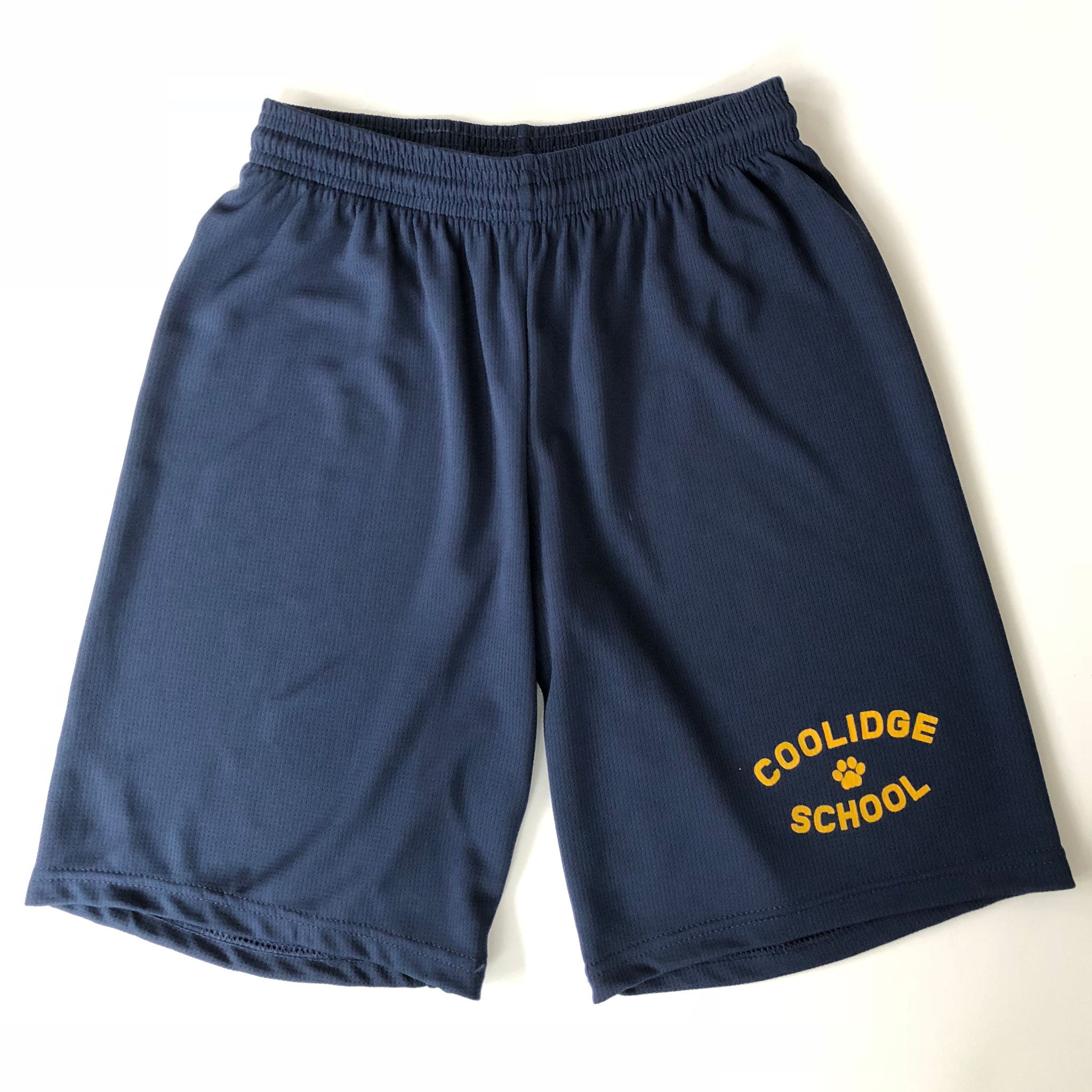 Coolidge Youth Mesh Sport Shorts